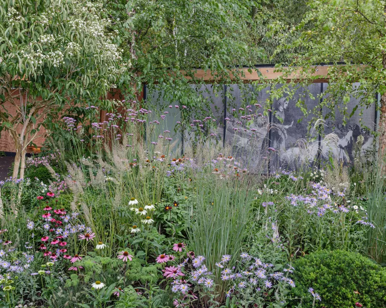 Tendances jardin 2023: 19 tendances clés que vous verrez dans les jardins partout l'année prochaine 15 Plantation de successions