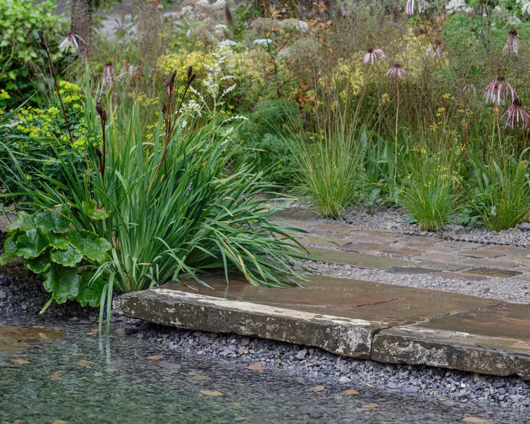 Tendances jardin 2023: 19 tendances clés que vous verrez dans les jardins partout l'année prochaine 16 hbsfhjhe