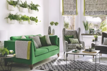 Idées de plantes d'intérieur de salon
