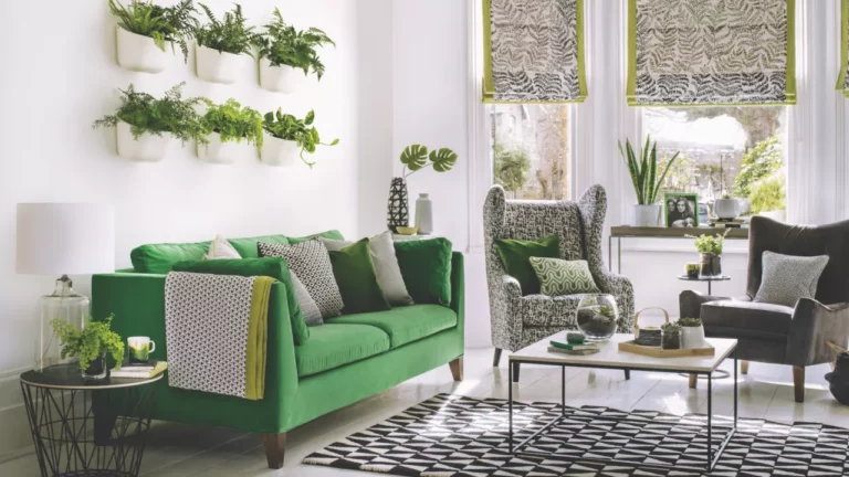 Idées de plantes d’intérieur de salon pour rehausser votre espace