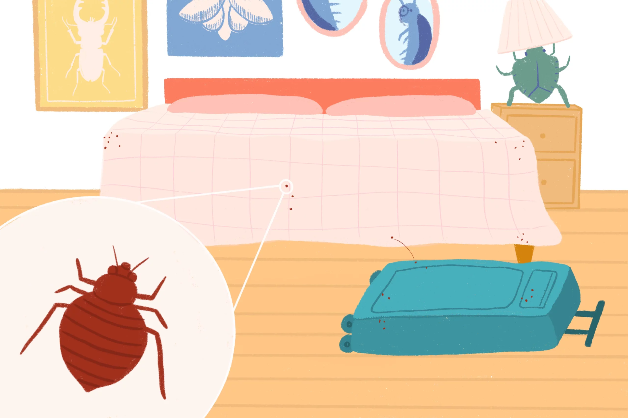 comment éviter et prévenir les punaises de lit